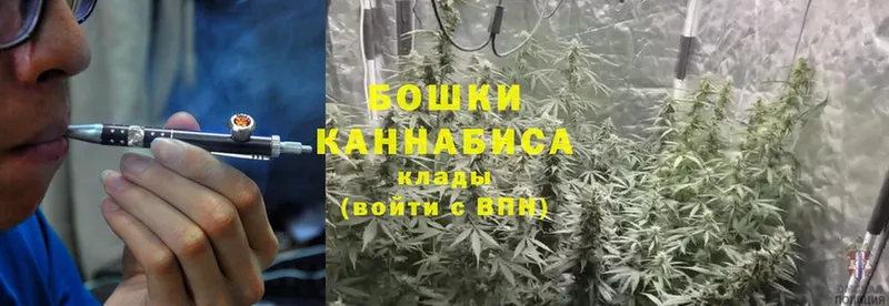 Марихуана Bruce Banner  Бокситогорск 